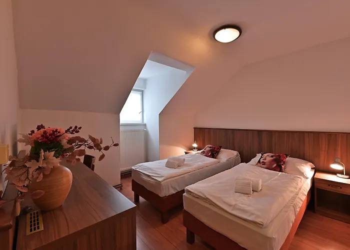 מלון Hotel Kacov Kácov