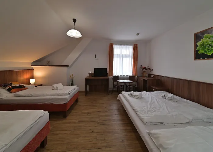 מלון Hotel Kacov